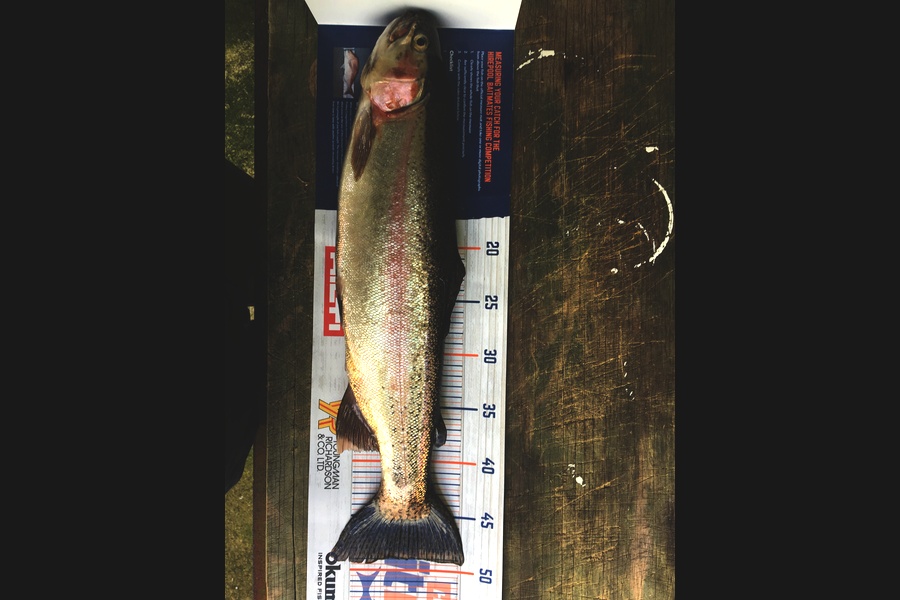 Jim Waerea caught this 49.0cm Trout at Rotorua lake during The Hirepool Baitmates Fishing Comp