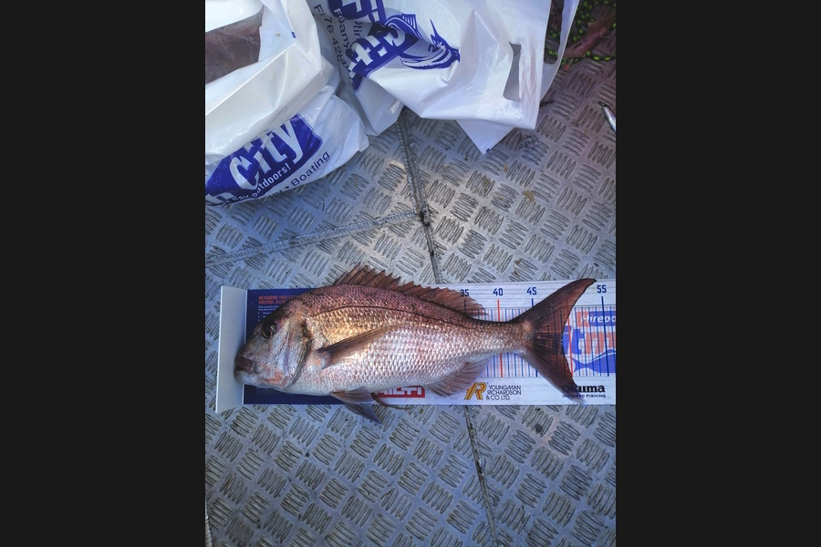 Andre Zowitzkey caught this 48.5cm Snapper at Great Barrier island  during The Hirepool Baitmates Fishing Comp