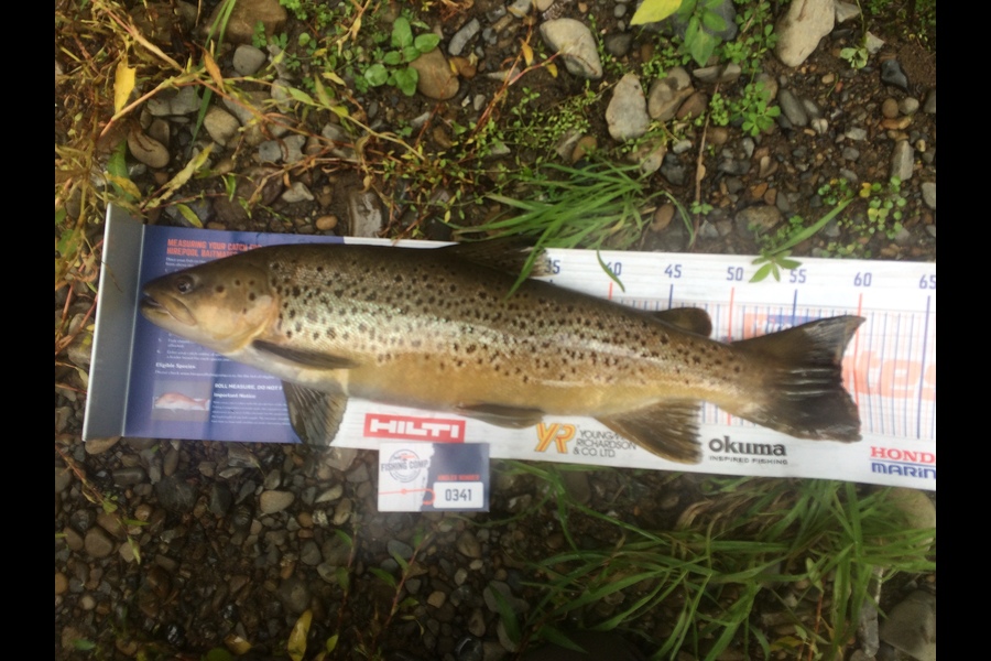Ben Connolly caught this 58.0cm Trout at Wellington  during The Hirepool Baitmates Fishing Comp