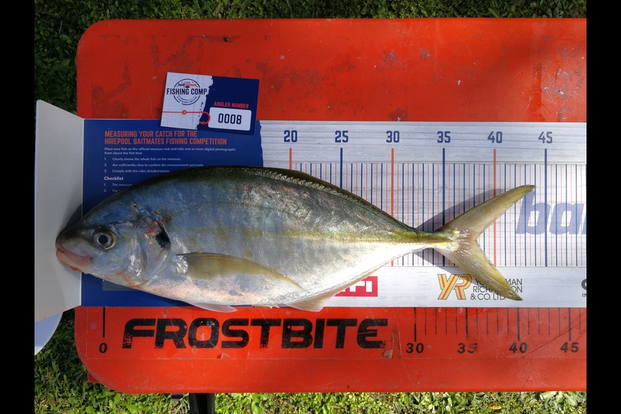 Jason Copedo caught this 38.0cm Trevally at Whangarei during The Hirepool Baitmates Fishing Comp