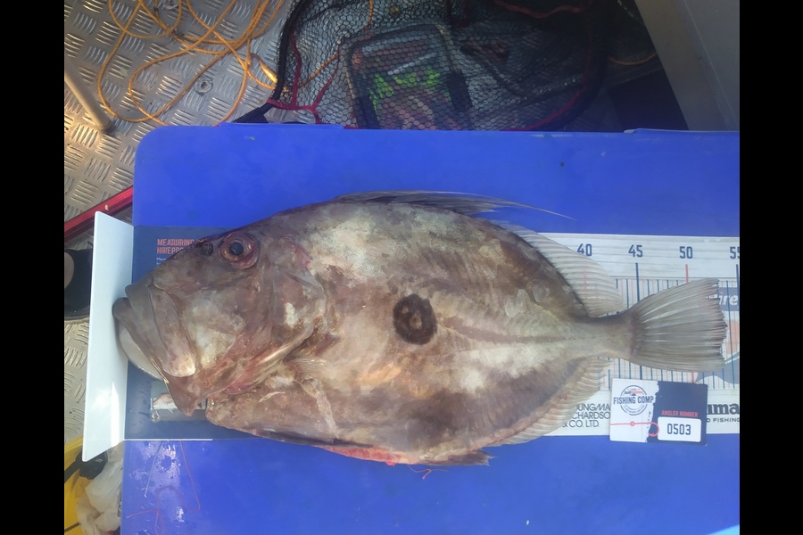 Ben Cullen caught this 53.5cm John Dory at Kawau during The Hirepool Baitmates Fishing Comp