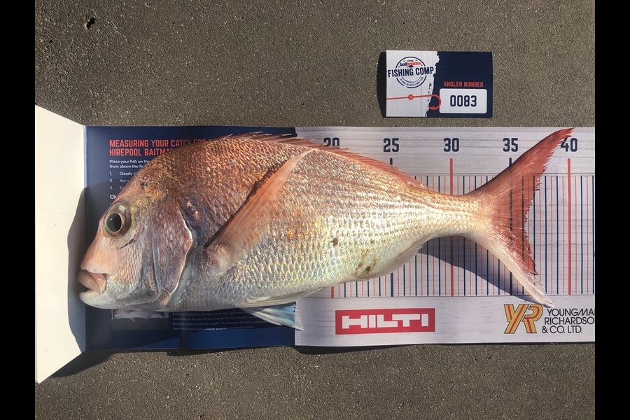 Clinton Ballot caught this 36.0cm Snapper at The Noises during The Hirepool Baitmates Fishing Comp