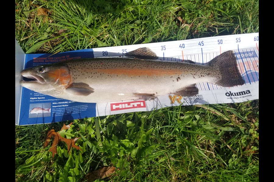 Gareth Thompson  caught this 53.5cm Trout at Rotorua  during The Hirepool Baitmates Fishing Comp