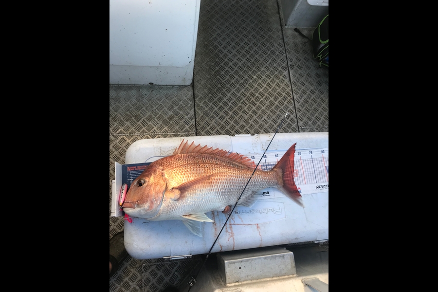 Ryan  Phillips caught this 65.0cm Snapper at Cook straight  during The Hirepool Baitmates Fishing Comp