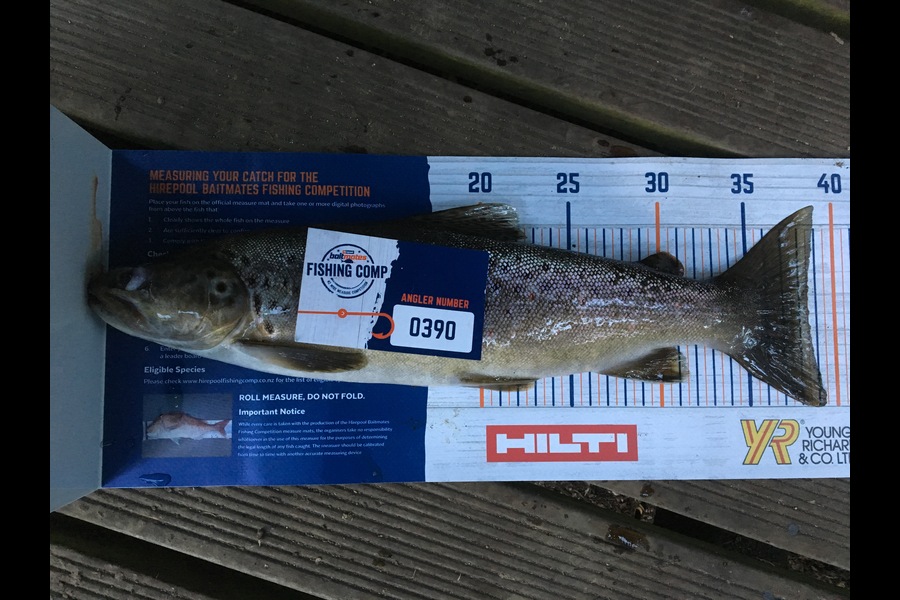 Robert Barbour caught this 38.5cm Trout at Mohaka during The Hirepool Baitmates Fishing Comp