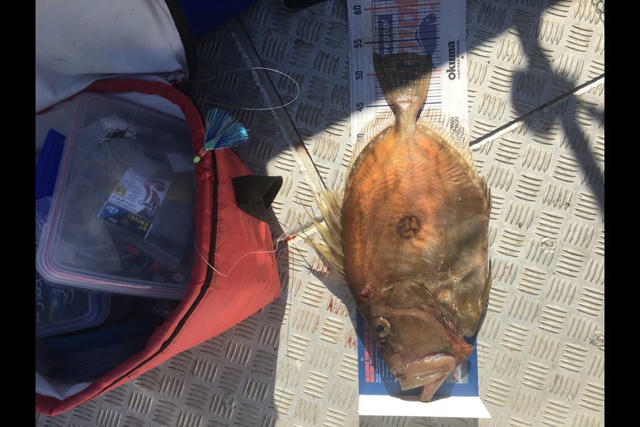 Neels Erasmus caught this 53.0cm John Dory at Horn Rock during The Hirepool Baitmates Fishing Comp