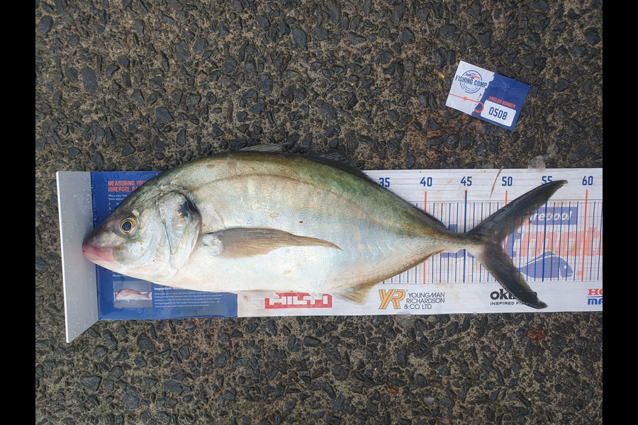 Injoom Park caught this 49.0cm Trevally at Horn rock during The Hirepool Baitmates Fishing Comp