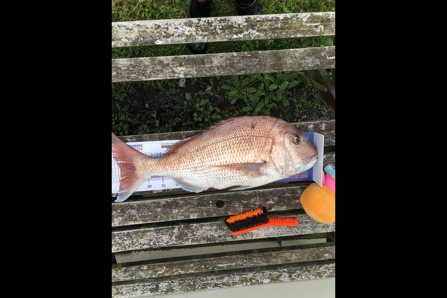 Rowan Jordan caught this 69cm Snapper at Ohawe during The Hirepool Baitmates Fishing Comp