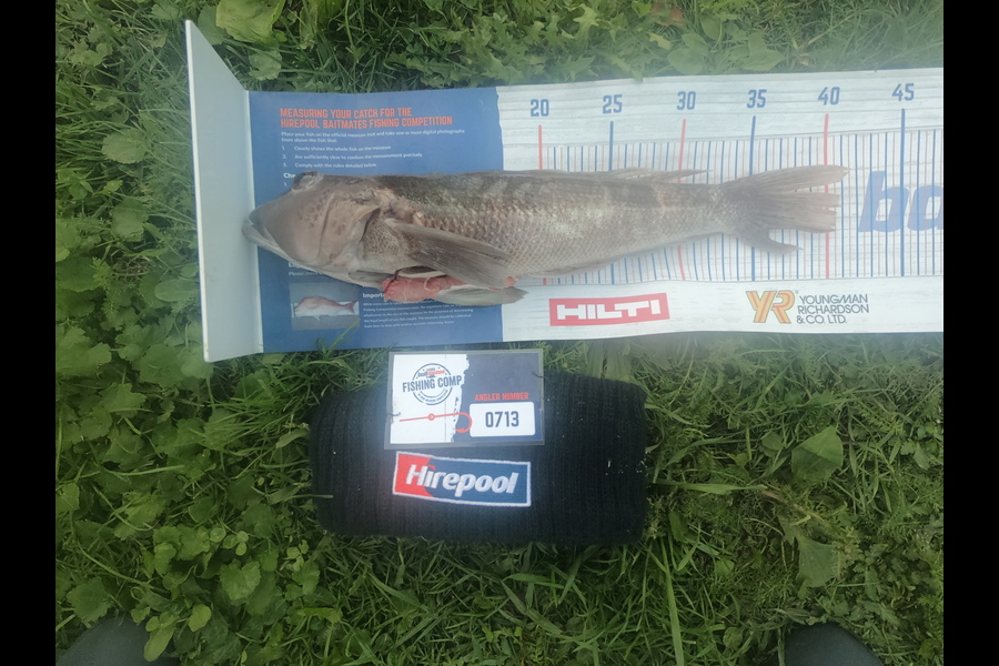 George Dobson caught this 40.5cm Blue Cod at Golden bay during The Hirepool Baitmates Fishing Comp