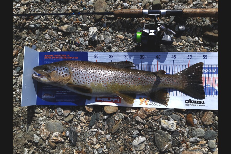 Phil Scorringe caught this 54cm Trout at Waikaia during The Hirepool Baitmates Fishing Comp