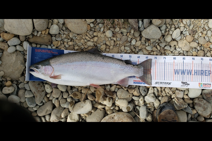 Dave Green caught this 67cm Trout at Twizel during The Hirepool Baitmates Fishing Comp