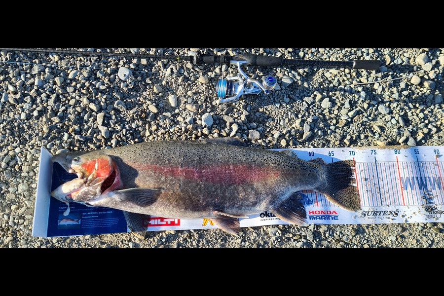 Alton King caught this 69.5cm Trout at Tekapo Canal during The Hirepool Baitmates Fishing Comp