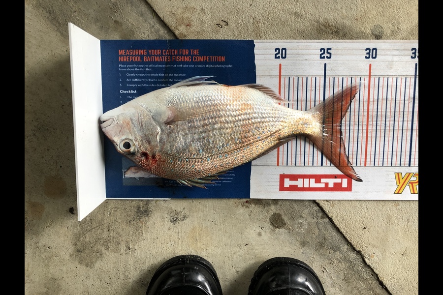 Bronwyn Langham caught this 27cm Snapper at Okiwi Bay during The Hirepool Baitmates Fishing Comp