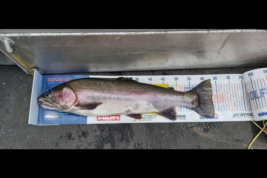 Mark Cooke caught this 63cm Trout at Lake Tarawera  during The Hirepool Baitmates Fishing Comp