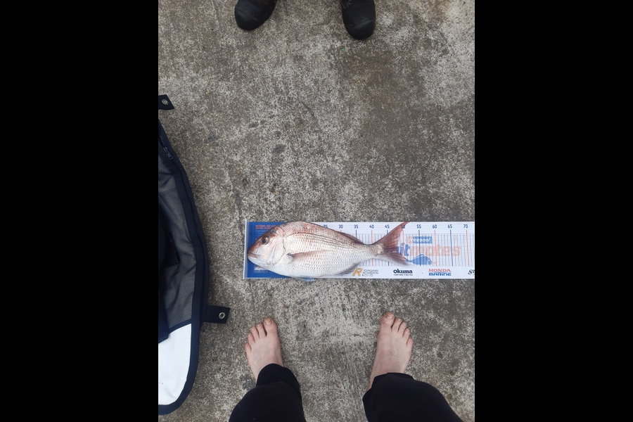 Bram Hendrix caught this 48cm Snapper at Urenui  during The Hirepool Baitmates Fishing Comp