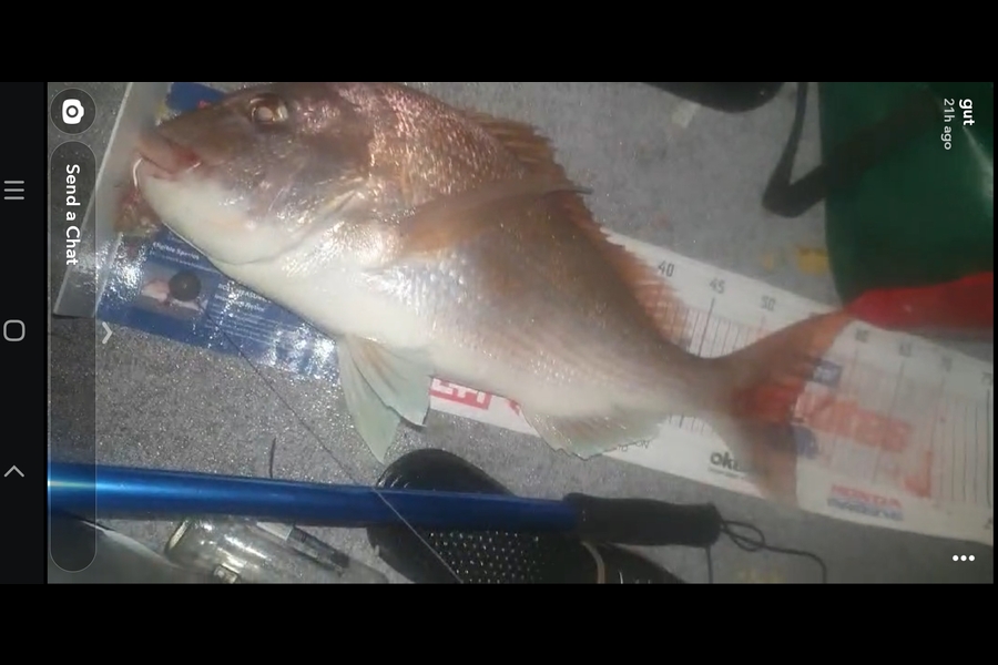 Luke Anderson caught this 53cm Snapper at Kaiaua during The Hirepool Baitmates Fishing Comp