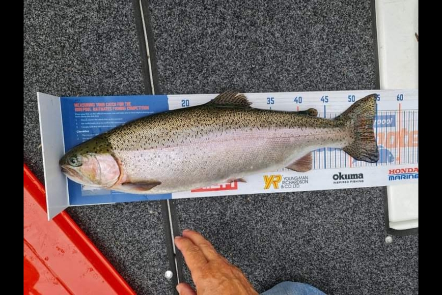 Ray Short caught this 54.0cm Trout at Lake Rotoiti Rotorua during The Hirepool Baitmates Fishing Comp