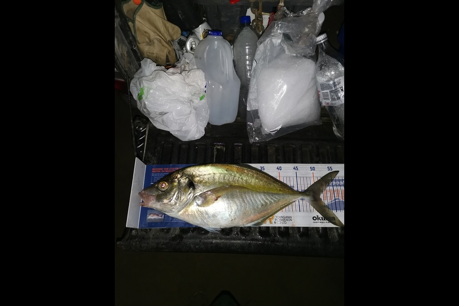 Andre Zowitzkey caught this 51cm Trevally at 90mile  during The Hirepool Baitmates Fishing Comp