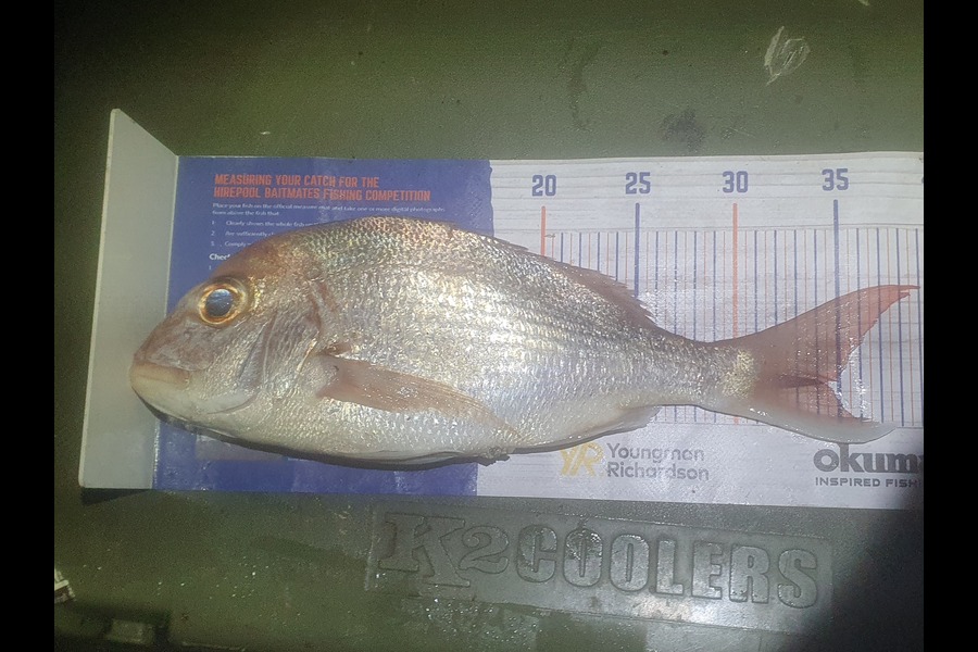 Ben Cullen caught this 34.0cm Snapper at Rangitoto during The Hirepool Baitmates Fishing Comp