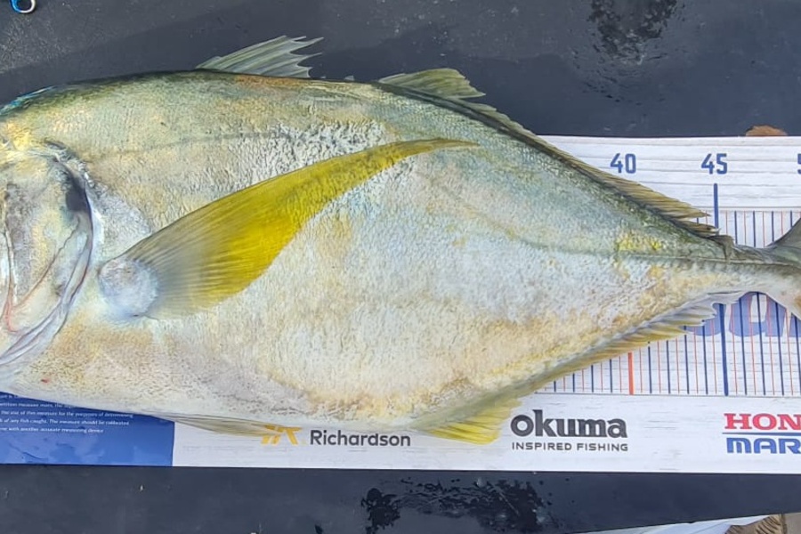 Brae Simpkin caught this 52.5cm Trevally at Tutukaka North Reef during The Hirepool Baitmates Fishing Comp