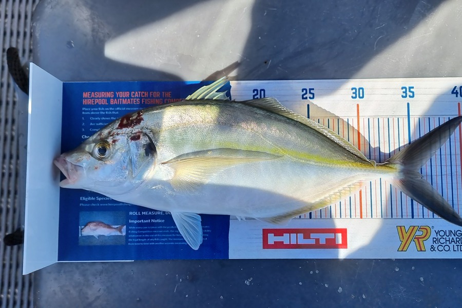 Suzanne Barker caught this 35.5cm Trevally at Whangamata during The Hirepool Baitmates Fishing Comp