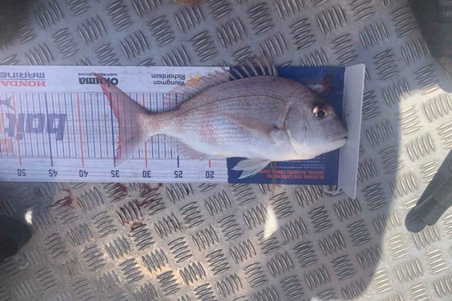 Bradley Wilson caught this 34.0cm Snapper at Waihi beach during The Hirepool Baitmates Fishing Comp