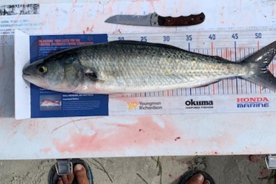 John Ra caught this 51.5cm Kahawai at Rangiputa during The Hirepool Baitmates Fishing Comp