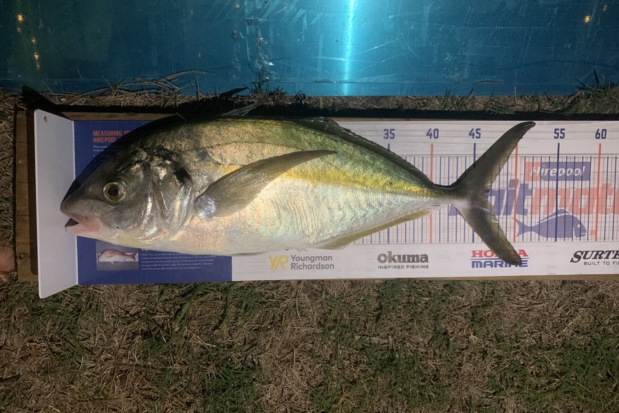 Shane Stanley caught this 46.5cm Trevally at Matarangi during The Hirepool Baitmates Fishing Comp