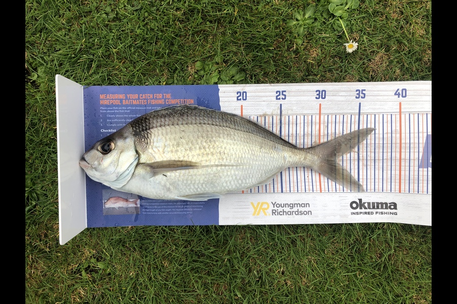 James Hamilton caught this 32.0cm Tarakihi at South Bay, Kaikōura during The Hirepool Baitmates Fishing Comp