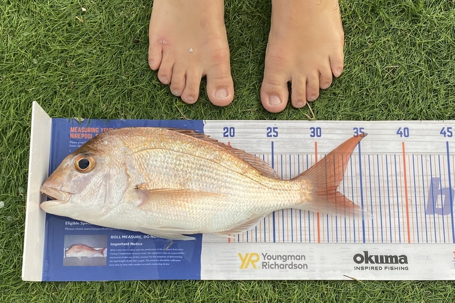 Noah Leaning caught this 32.0cm Snapper at Cooks beach during The Hirepool Baitmates Fishing Comp