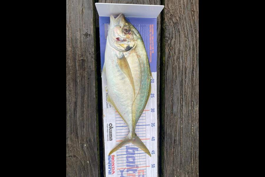 Shaun Johnston caught this 40.5cm Trevally at Coville during The Hirepool Baitmates Fishing Comp