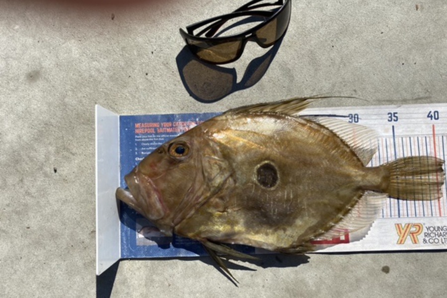 Mark Ray caught this 41.0cm John Dory at Bop during The Hirepool Baitmates Fishing Comp