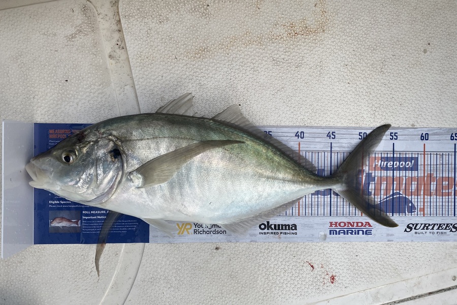 Christopher Eden caught this 49.5cm Trevally at bop during The Hirepool Baitmates Fishing Comp