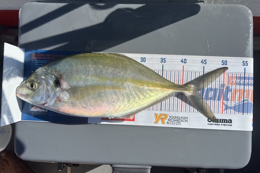 Melissa Martin caught this 44.0cm Trevally at BOP during The Hirepool Baitmates Fishing Comp