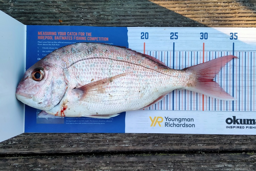 Crystal Davies caught this 31.5cm Snapper at Mt Maunganui during The Hirepool Baitmates Fishing Comp