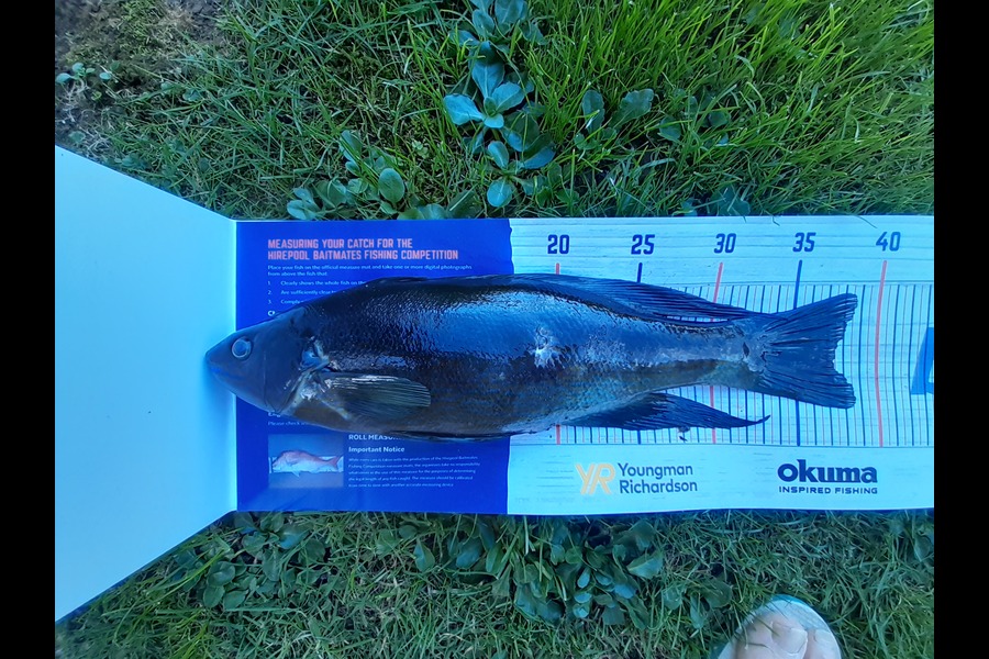 Russell Blomquist caught this 37.0cm Butterfish at Whangarei during The Hirepool Baitmates Fishing Comp