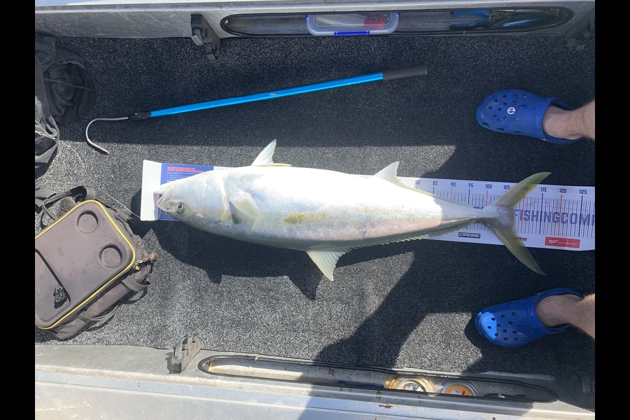 Nathan Carter caught this 108.0cm Kingfish at Whangarei during The Hirepool Baitmates Fishing Comp