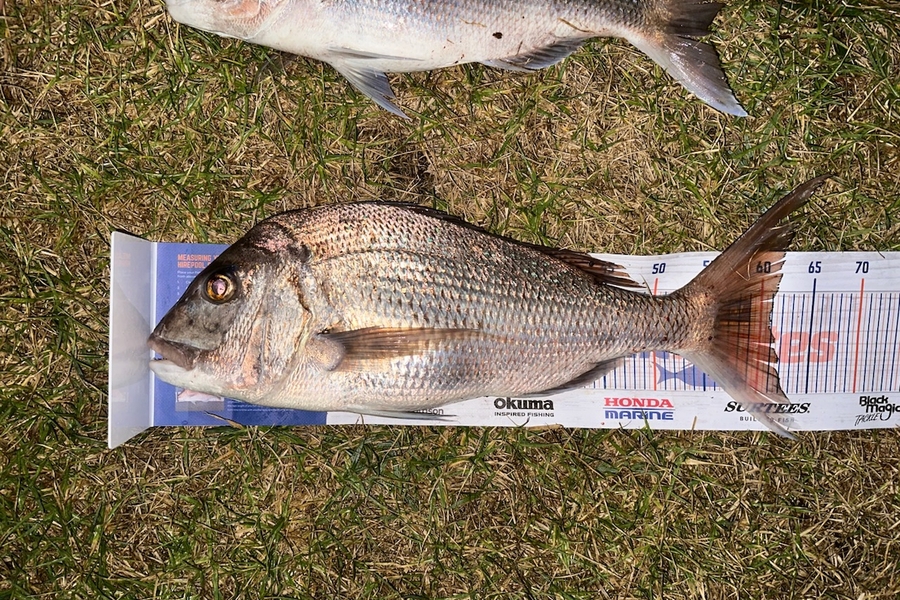Natalie Barnes caught this 61.0cm Snapper at Far North during The Hirepool Baitmates Fishing Comp