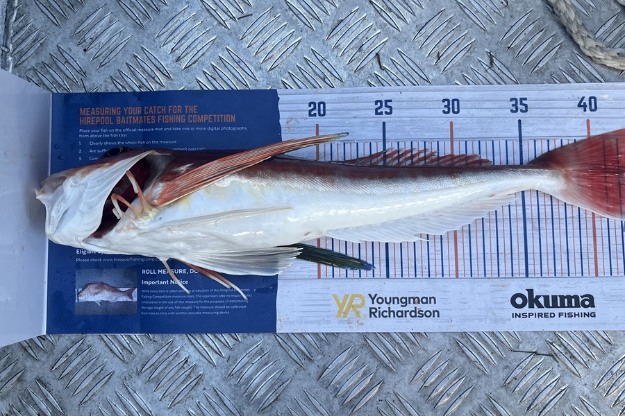 Brook Carr caught this 42cm Gurnard at Tautuku  during The Hirepool Baitmates Fishing Comp