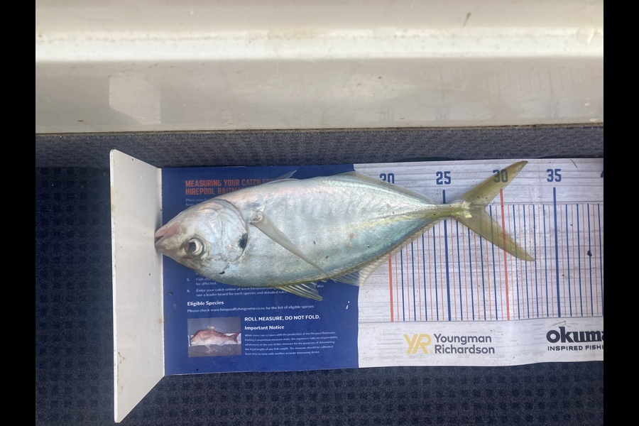 Werner OOsthuizen caught this 28.5cm Trevally at Long bay during The Hirepool Baitmates Fishing Comp
