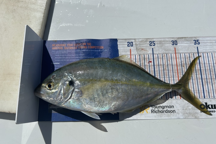 Blair Brookbanks caught this 32.0cm Trevally at Slipper Island during The Hirepool Baitmates Fishing Comp