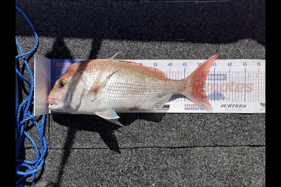 Pieter Janse van Rensburg caught this 51.5cm Snapper at Music Point during The Hirepool Baitmates Fishing Comp