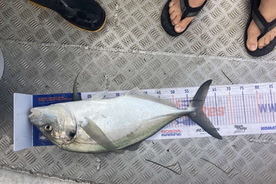 Carson Farley caught this 60.0cm Trevally at Parengarenga  during The Hirepool Baitmates Fishing Comp