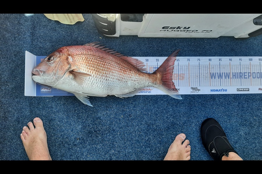 Fraser Gillespie caught this 62.0cm Snapper at New plymouth  during The Hirepool Baitmates Fishing Comp