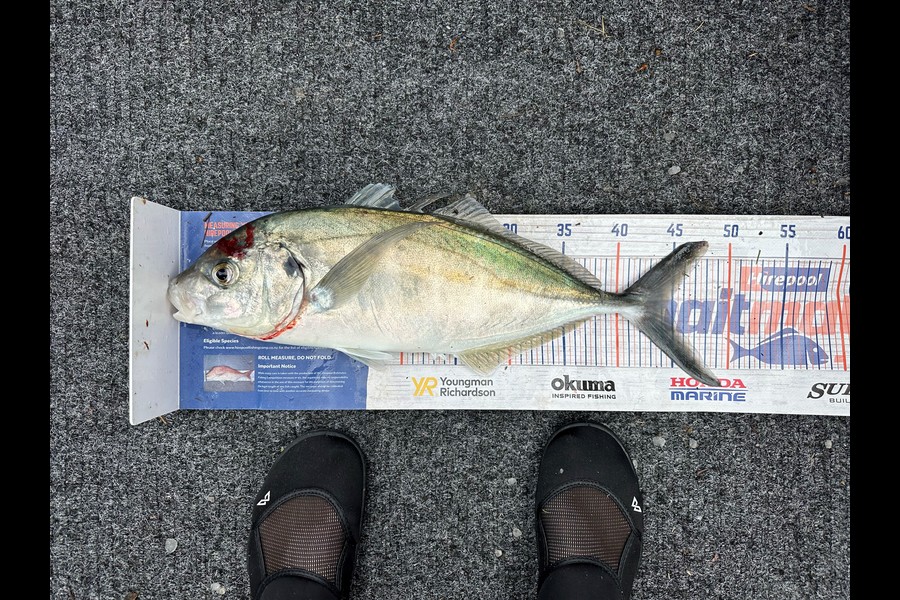 Leanne Murray caught this 44.5cm Trevally at Coromandel during The Hirepool Baitmates Fishing Comp