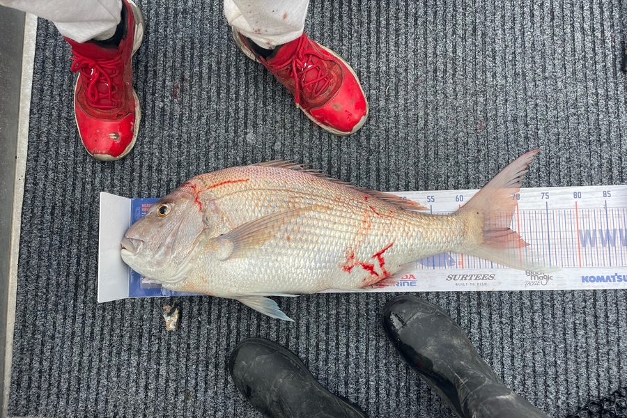 Brody Mitchell caught this 68.5cm Snapper at Tasman bay during The Hirepool Baitmates Fishing Comp