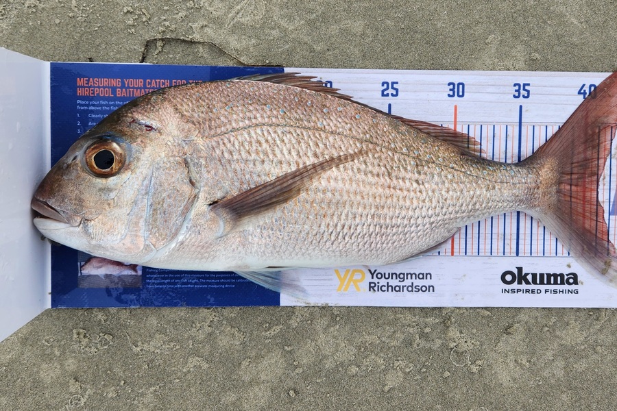 Kristian Borgolte caught this 41.0cm Snapper at Houhora harbour during The Hirepool Baitmates Fishing Comp