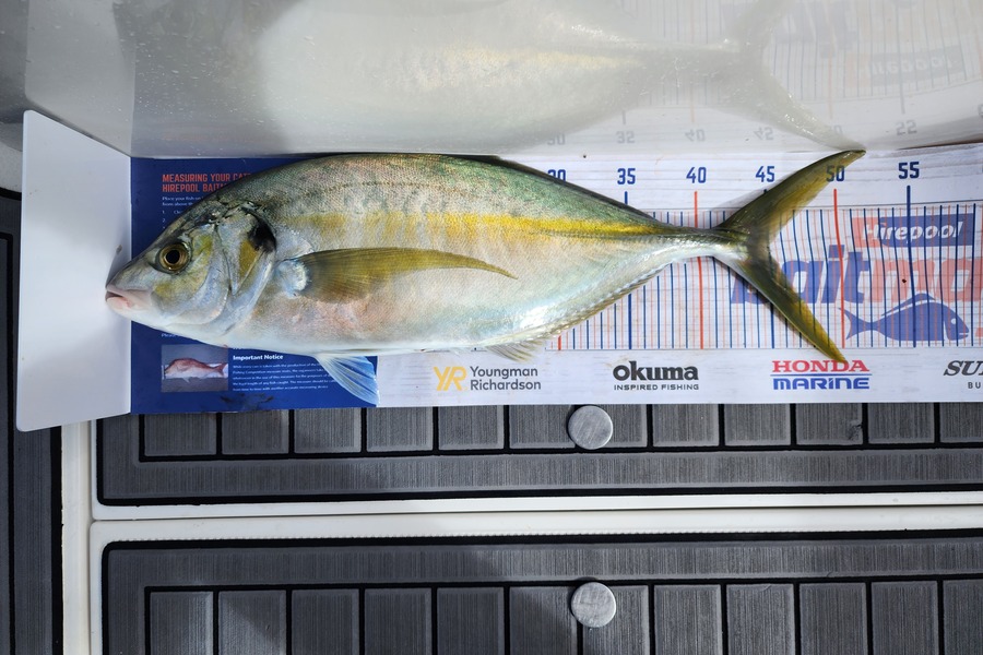 Ashley Dempsey caught this 45.0cm Trevally at Motiti Island  during The Hirepool Baitmates Fishing Comp