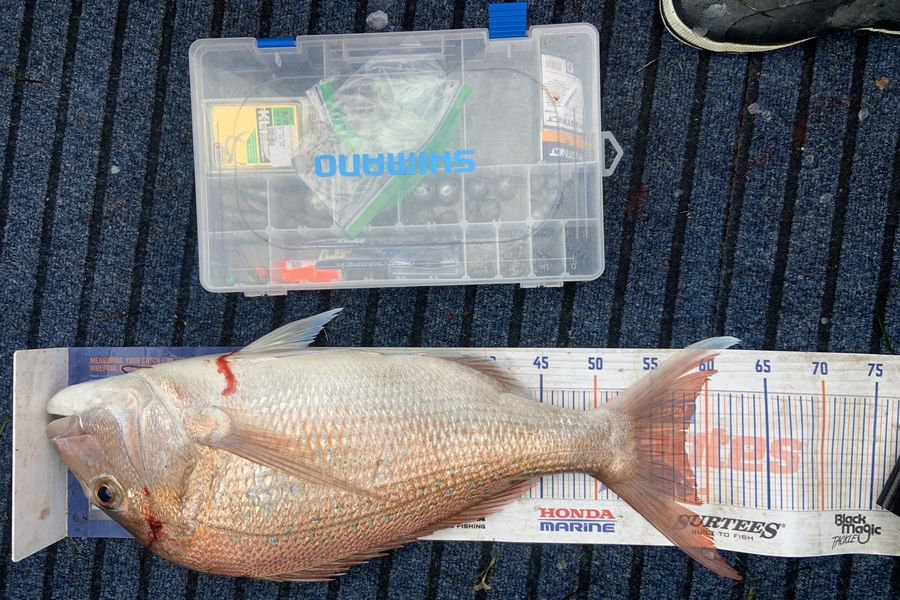 Amber Raudon caught this 58.0cm Snapper at Manukau during The Hirepool Baitmates Fishing Comp