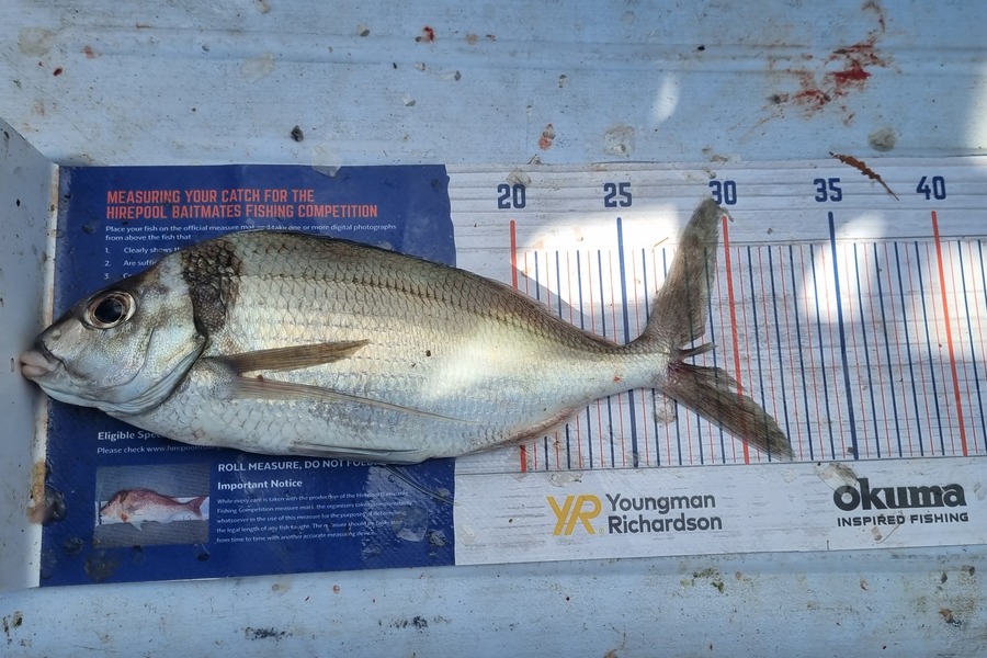 Joshua Gordon caught this 28cm Tarakihi at Okiwi Bay Tasman during The Hirepool Baitmates Fishing Comp